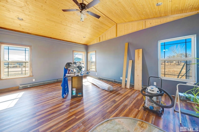 1253 Briggs Ln, Fallon, NV 89406 - workout area featuring wood ceiling, wood finished floors, lofted ceiling, a baseboard radiator, and ceiling fan