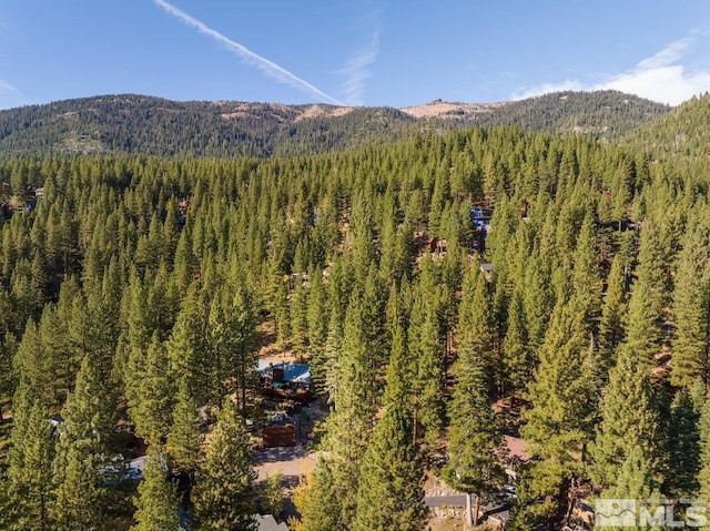 572 Rockrose Ct, Incline Village, NV 89451 - view of mountain backdrop featuring a forest