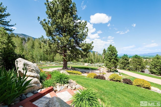 1101 Sierra Country Ct, Gardnerville, NV 89460 - surrounding community featuring a yard and a mountain view