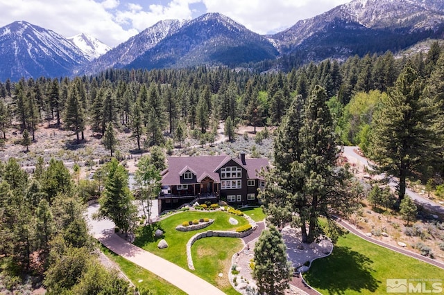 1101 Sierra Country Ct, Gardnerville, NV 89460 - view from above of property featuring a mountainous background and a forest