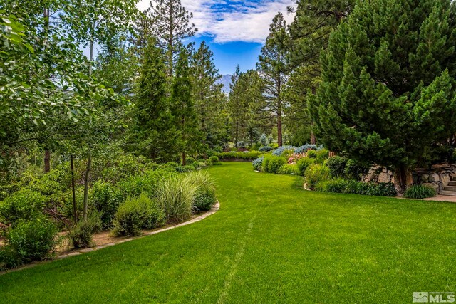 6025 Lake Geneva, Reno, NV 89511 - view of green lawn