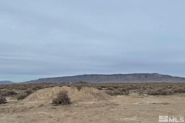 625 Painted Sage Dr, Battle Mountain, NV 89820 - photo 4