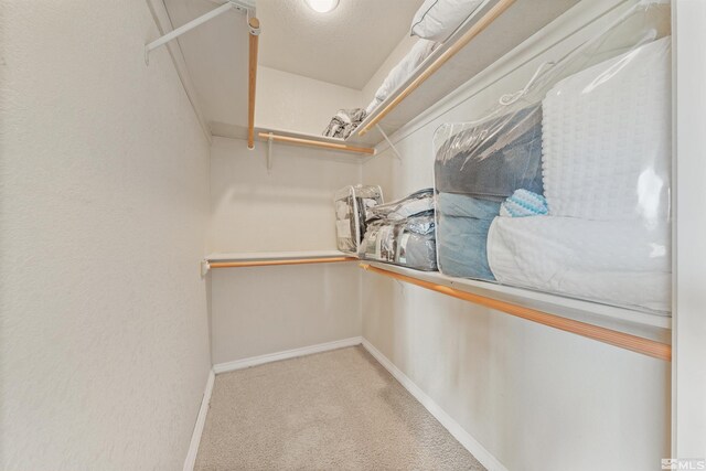 1973 Arabian Ln, Gardnerville, NV 89410 - spacious closet with carpet