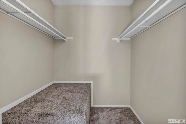 435 Pine Meadows Dr # 33, Sparks, NV 89431 - spacious closet featuring carpet floors