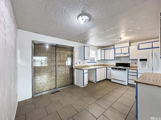 11019 Bornite Ct, Reno, NV 89506 - photo 4