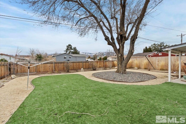 3230 Downey Ave, Reno, NV 89503 - view of yard