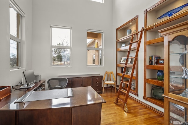 3605 Silver Vista Dr, Reno, NV 89511 - home office with wood finished floors and a towering ceiling