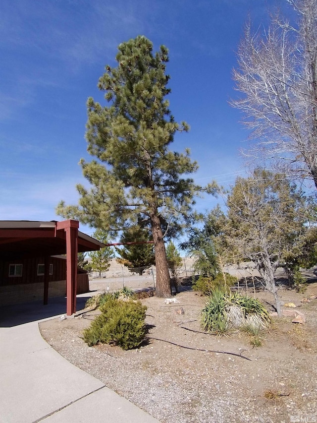 1275 Washington St, Reno, NV 89503 - photo 5