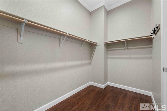 6141 Solstice Dr, Sparks, NV 89436 - walk in closet featuring dark wood-type flooring