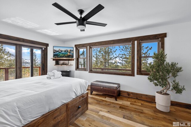 520 Laurel Ln, Stateline, NV 89449 - bedroom featuring light wood-style floors, multiple windows, and baseboards