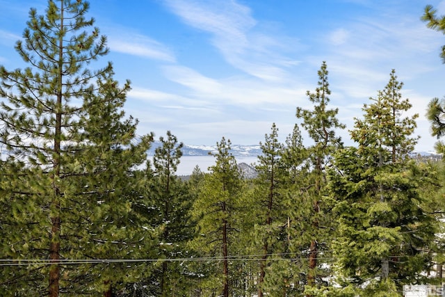 520 Laurel Ln, Stateline, NV 89449 - view of undeveloped land featuring a mountainous background