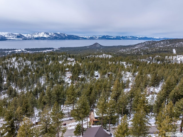 520 Laurel Ln, Stateline, NV 89449 - view of mountain background