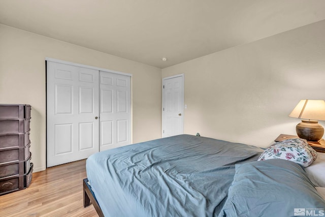 152 Desert Springs Ct, Fernley, NV 89408 - bedroom with light wood finished floors, a closet, and baseboards