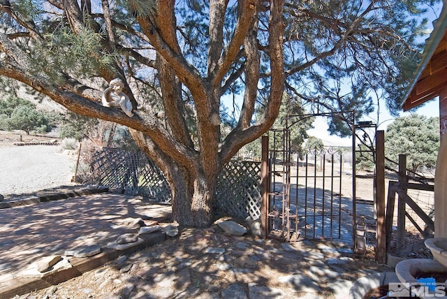 345 Upper Colony Rd, Wellington, NV 89444 - photo 35