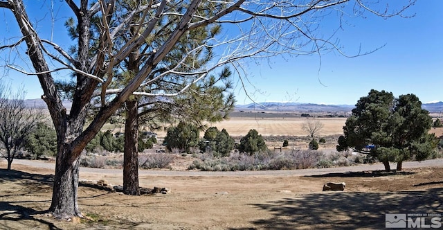 345 Upper Colony Rd, Wellington, NV 89444 - photo 39