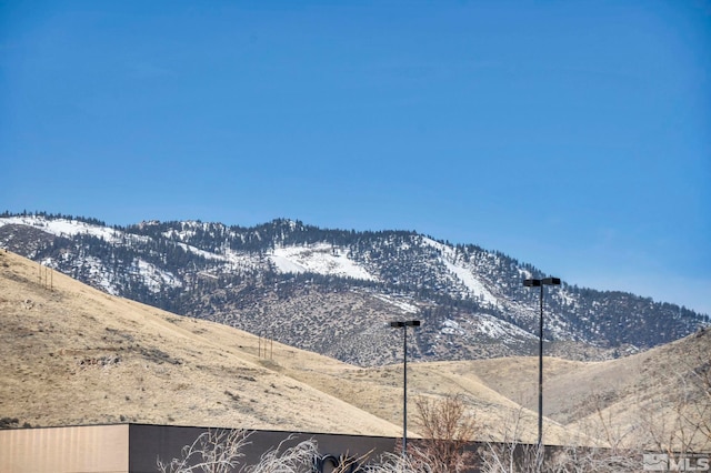 410 Dublin St, Carson City, NV 89701 - photo 12