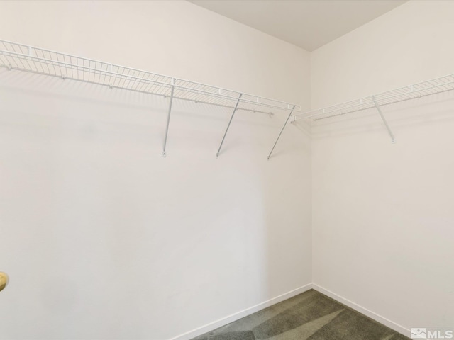 7433 Gannon Dr, Reno, NV 89506 - walk in closet with dark carpet