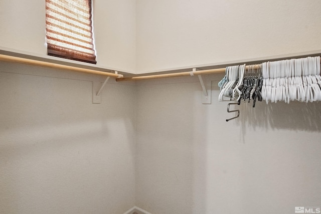 823 Gullane Ct, Dayton, NV 89403 - view of walk in closet