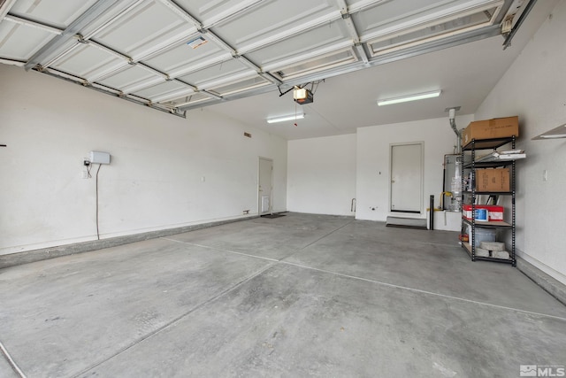 823 Gullane Ct, Dayton, NV 89403 - garage featuring a garage door opener and water heater