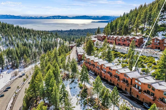 400 Fairview Blvd Unit 217, Incline Village, NV 89451 - drone / aerial view of a mountain backdrop and a heavily wooded area