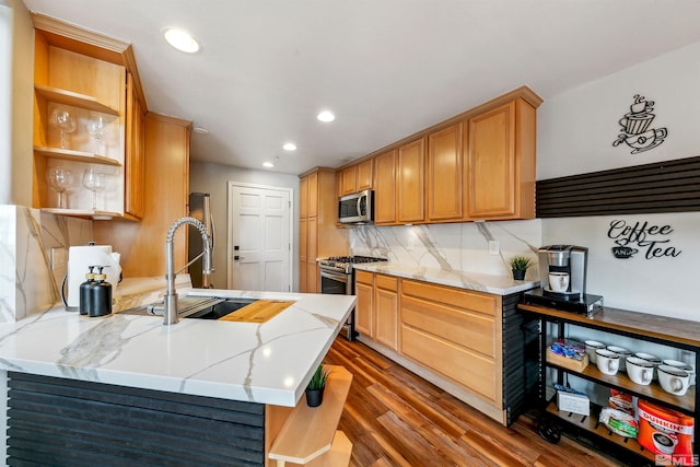 400 Fairview Blvd Unit 217, Incline Village, NV 89451 - kitchen featuring open shelves, stainless steel appliances, a sink, wood finished floors, and a peninsula