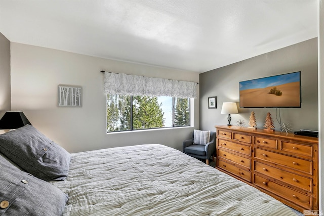 400 Fairview Blvd Unit 217, Incline Village, NV 89451 - view of bedroom