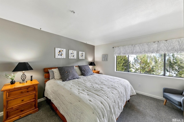 400 Fairview Blvd Unit 217, Incline Village, NV 89451 - bedroom with carpet and baseboards