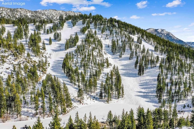 400 Fairview Blvd Unit 217, Incline Village, NV 89451 - snowy aerial view featuring a mountain view