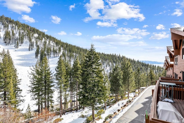 400 Fairview Blvd Unit 217, Incline Village, NV 89451 - snow covered back of property featuring a view of trees and a mountain view