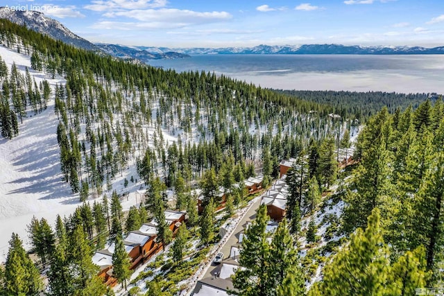 400 Fairview Blvd Unit 217, Incline Village, NV 89451 - drone / aerial view of a forest and a mountain backdrop