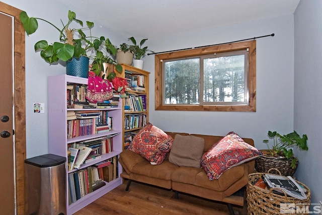 60 Lava Cap, Markleeville, CA 96120 - living area featuring wood finished floors