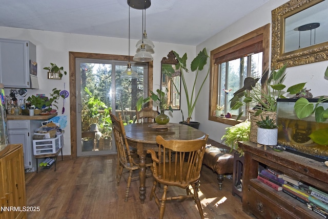 60 Lava Cap, Markleeville, CA 96120 - photo 4
