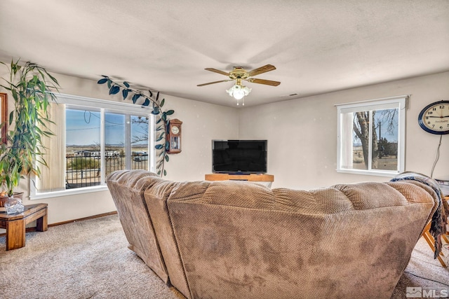 27 Locust, Yerington, NV 89447 - photo 31