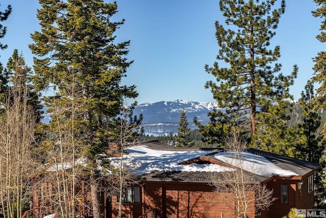 1005 Marlene St, Incline Village, NV 89451 - mountain view