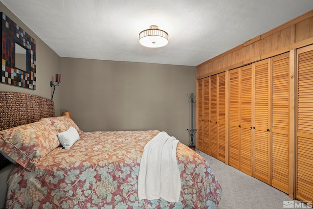 1005 Marlene St, Incline Village, NV 89451 - bedroom with carpet floors and a closet