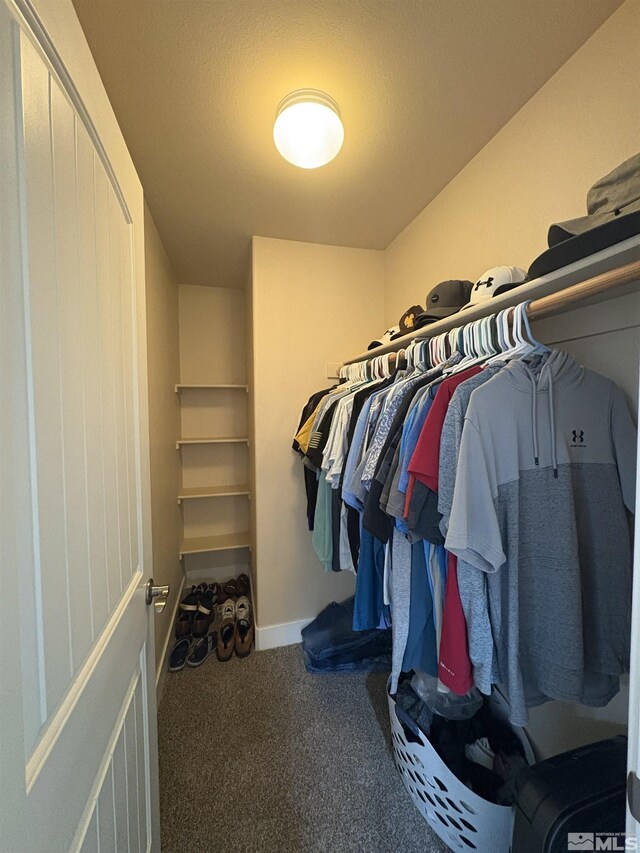5282 Western Way, Winnemucca, NV 89445 - walk in closet featuring carpet floors