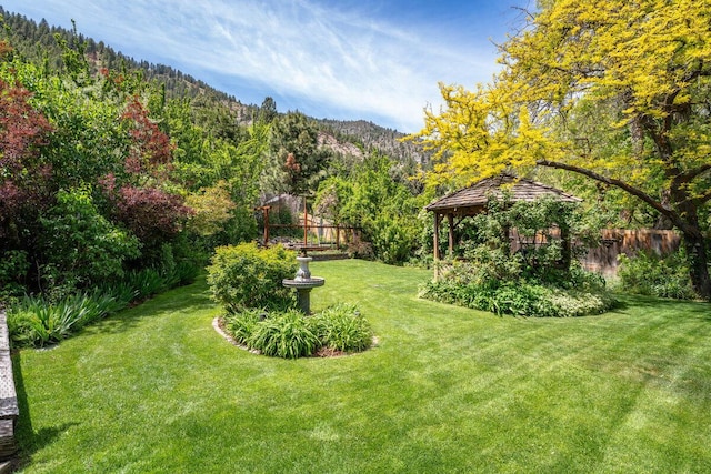 182 Mill St, Genoa, NV 89411 - view of yard with a gazebo, a mountain view, and a view of trees