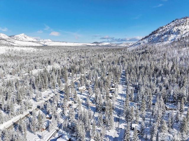 2828 Santa Claus, South Lake Tahoe, CA 96150 - photo 4