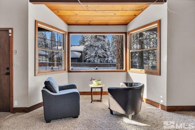 2828 Santa Claus, South Lake Tahoe, CA 96150 - photo 21
