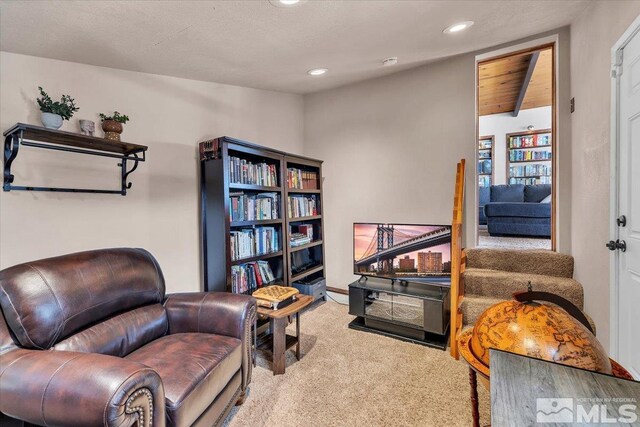 2828 Santa Claus, South Lake Tahoe, CA 96150 - photo 25