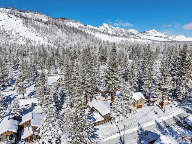 2828 Santa Claus, South Lake Tahoe, CA 96150 - photo 38