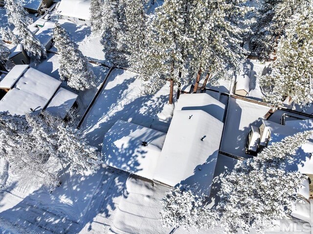 2828 Santa Claus, South Lake Tahoe, CA 96150 - photo 39