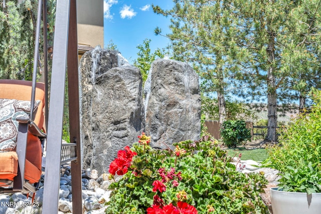 10100 Via Ponte, Reno, NV 89511 - view of yard