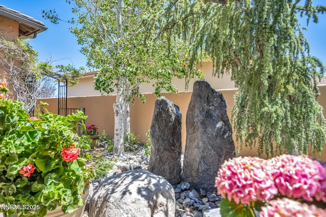10100 Via Ponte, Reno, NV 89511 - view of yard