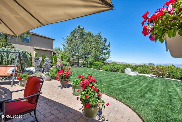 10100 Via Ponte, Reno, NV 89511 - view of patio