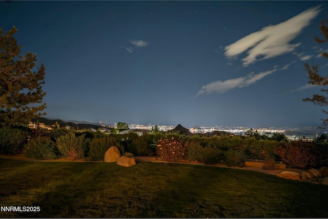 10100 Via Ponte, Reno, NV 89511 - view of green lawn