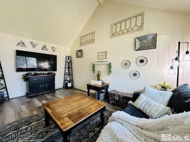 3940 Pheasant, Carson City, NV 89701 - living room featuring wood finished floors and high vaulted ceiling