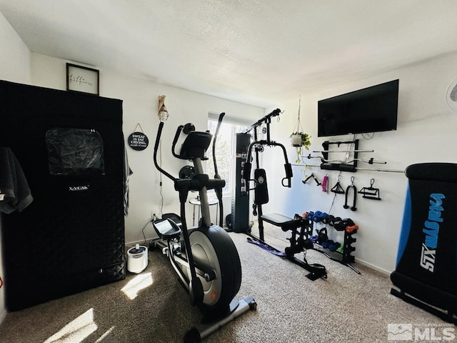 3940 Pheasant, Carson City, NV 89701 - workout room with carpet floors, baseboards, and a textured ceiling