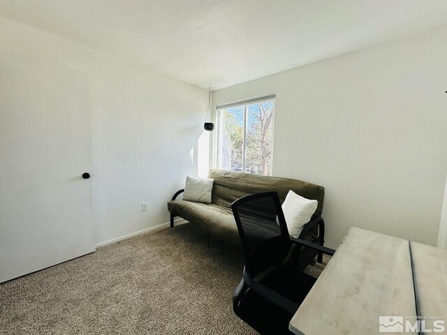 3940 Pheasant, Carson City, NV 89701 - view of carpeted home office