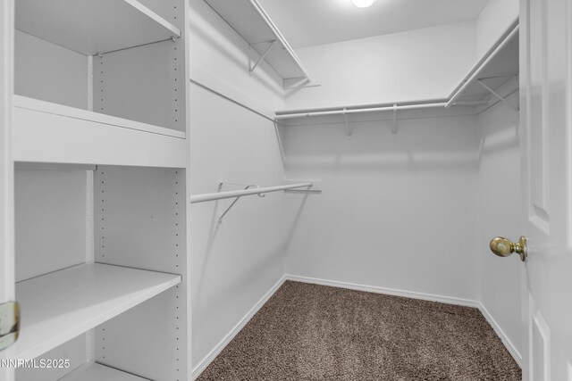 2172 Redhead Dr, Sparks, NV 89441 - spacious closet with carpet flooring
